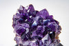 Amethyst – The Ultimate Calming & Healing Crystal for Pets