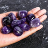 Amethyst – The Ultimate Calming & Healing Crystal for Pets