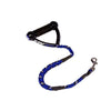 dog lead