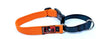 dog collar (black dog)