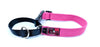 Dog collar (Black dog)