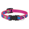 dog collar