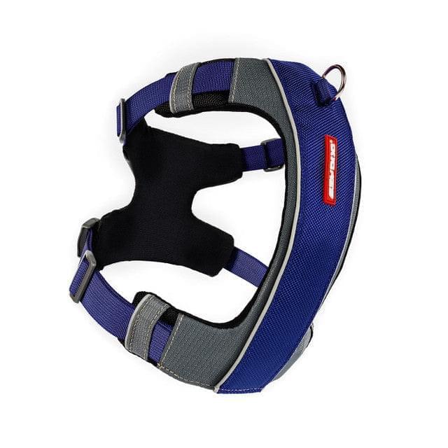 dog harness