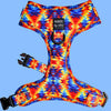 Dog  Harness (Neoprene)