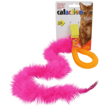 cat toy