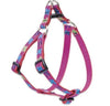 dog harness
